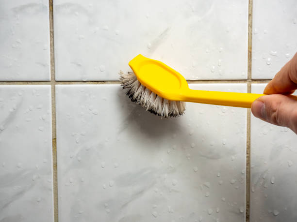 Best Commercial Mold Remediation in Morrisonville, NY